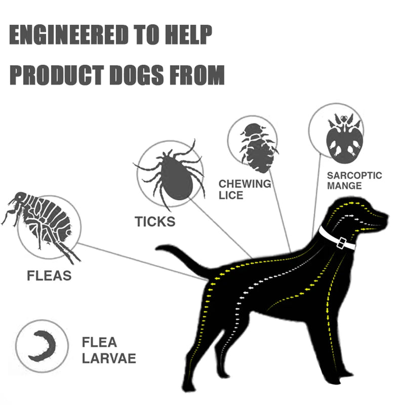 Coleira de silicone ajustável para pulgas e carrapatos, coleira para cães e gatos, proteção de 8 meses, anti-mosquitos, repelente de insetos, suprimentos para animais de estimação